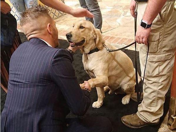 Góc đáng yêu: Tom Hardy cười tít mắt, tranh thủ cưng nựng chú chó cảnh vệ tại buổi họp báo 'Venom' Góc đáng yêu: Tom Hardy cười tít mắt, tranh thủ cưng nựng chú chó cảnh vệ tại buổi họp báo 'Venom'