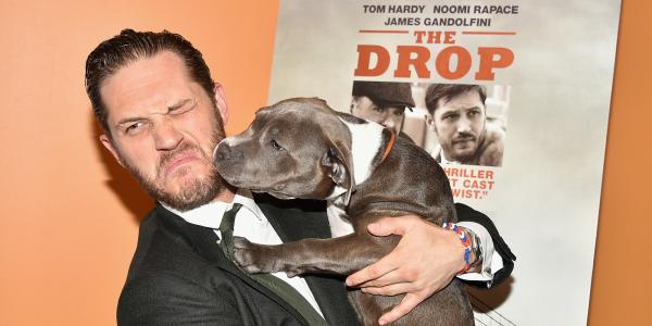 Góc đáng yêu: Tom Hardy cười tít mắt, tranh thủ cưng nựng chú chó cảnh vệ tại buổi họp báo 'Venom' Góc đáng yêu: Tom Hardy cười tít mắt, tranh thủ cưng nựng chú chó cảnh vệ tại buổi họp báo 'Venom'