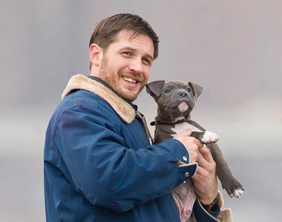 Góc đáng yêu: Tom Hardy cười tít mắt, tranh thủ cưng nựng chú chó cảnh vệ tại buổi họp báo 'Venom' Góc đáng yêu: Tom Hardy cười tít mắt, tranh thủ cưng nựng chú chó cảnh vệ tại buổi họp báo 'Venom'
