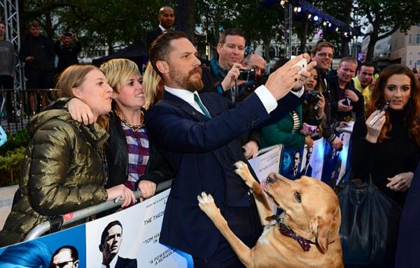 Góc đáng yêu: Tom Hardy cười tít mắt, tranh thủ cưng nựng chú chó cảnh vệ tại buổi họp báo 'Venom' Góc đáng yêu: Tom Hardy cười tít mắt, tranh thủ cưng nựng chú chó cảnh vệ tại buổi họp báo 'Venom'