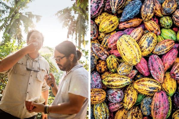 Có thể bạn không để ý nhưng rất nhiều thương hiệu nổi tiếng là 'Made in Vietnam' đấy Có thể bạn không để ý nhưng rất nhiều thương hiệu nổi tiếng là 'Made in Vietnam' đấy