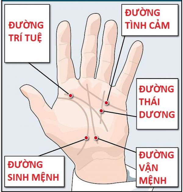 Đường chỉ tay của gia đình Hoàng gia Anh có gì đặc biệt và nó liên quan thế nào đến vận mệnh của họ? Đường chỉ tay của gia đình Hoàng gia Anh có gì đặc biệt và nó liên quan thế nào đến vận mệnh của họ?