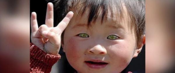 'Vì em mắt biếc nên ta mềm lòng': Thử một lần đắm chìm trong những đôi mắt đẹp nhất thế giới 'Vì em mắt biếc nên ta mềm lòng': Thử một lần đắm chìm trong những đôi mắt đẹp nhất thế giới