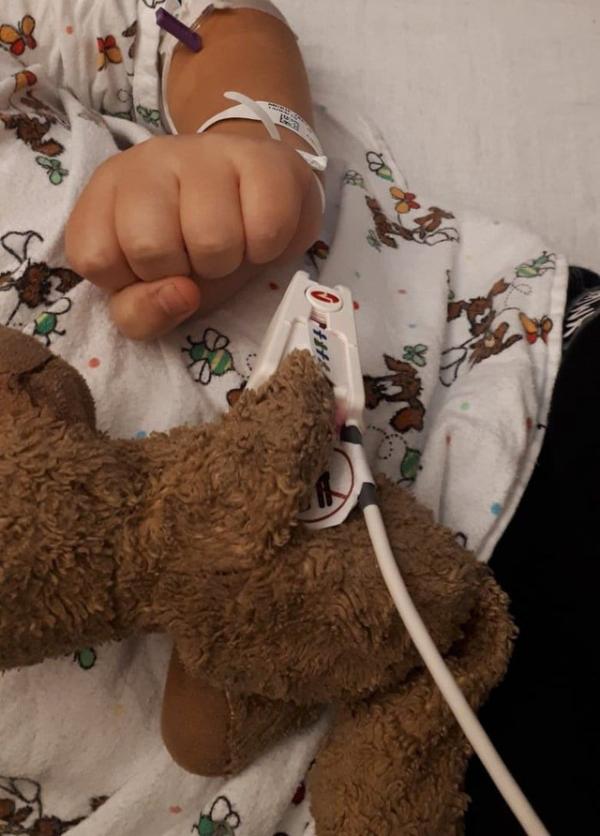 Chiều bệnh nhân nhí, bác sĩ tiến hành giải phẫu... gấu Teddy Chiều bệnh nhân nhí, bác sĩ tiến hành giải phẫu... gấu Teddy