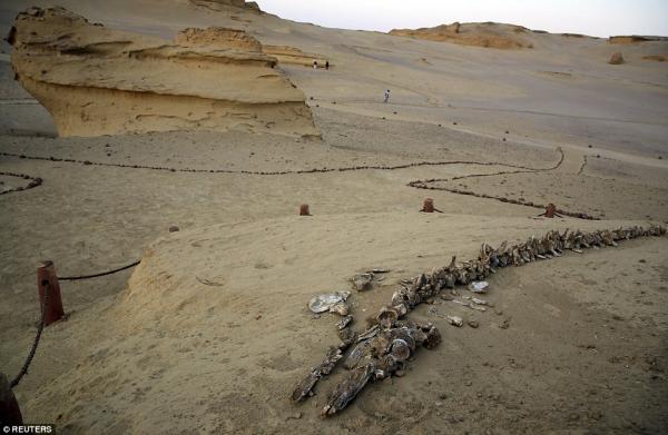 Sa mạc Sahara - Nổi tiếng đến thế mà vẫn còn ẩn giấu rất nhiều bí mật Sa mạc Sahara - Nổi tiếng đến thế mà vẫn còn ẩn giấu rất nhiều bí mật