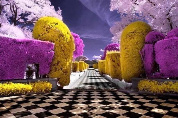 Những bức ảnh cực hiếm chắc chắn sẽ khiến bạn lặng người cảm thán về thế giới mình đang sống Những bức ảnh cực hiếm chắc chắn sẽ khiến bạn lặng người cảm thán về thế giới mình đang sống
