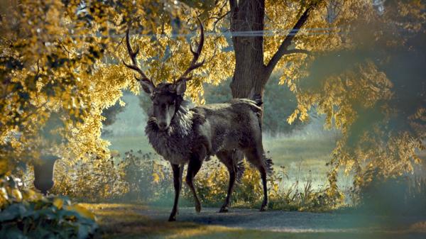 Những bí mật rợn người chưa có câu trả lời trong series 'Hannibal' nổi tiếng Những bí mật rợn người chưa có câu trả lời trong series 'Hannibal' nổi tiếng