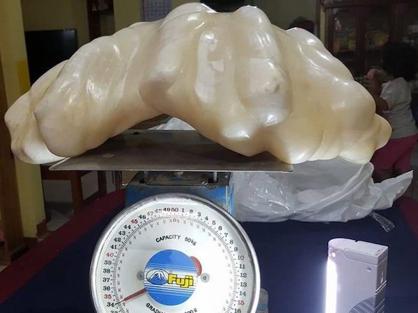 Trở thành triệu phú sau 1 đêm nhờ những 'mỏ vàng từ trên trời rơi xuống' như thế này Trở thành triệu phú sau 1 đêm nhờ những 'mỏ vàng từ trên trời rơi xuống' như thế này