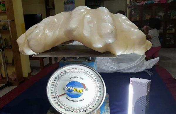 Những lần nhặt được của rơi 'hú hồn' hơn cả việc phát hiện kho báu Những lần nhặt được của rơi 'hú hồn' hơn cả việc phát hiện kho báu