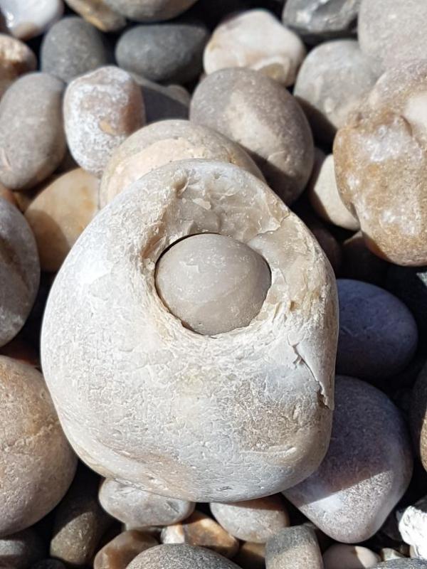 Những lần nhặt được của rơi 'hú hồn' hơn cả việc phát hiện kho báu Những lần nhặt được của rơi 'hú hồn' hơn cả việc phát hiện kho báu