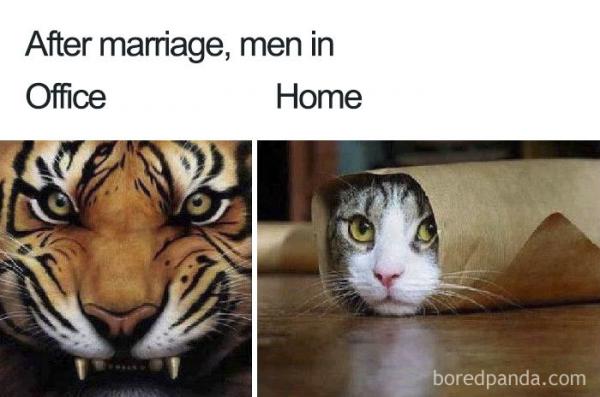 Loạt meme tóm tắt cuộc sống hôn nhân sẽ khiến bạn vừa cười vừa suy ngẫm Loạt meme tóm tắt cuộc sống hôn nhân sẽ khiến bạn vừa cười vừa suy ngẫm