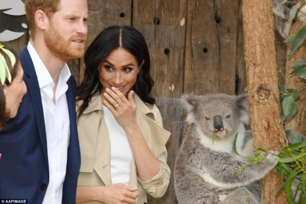 Hoàng tử Harry và vợ thăm Sydney, lực lượng xạ thủ bảo vệ 'khủng' như phim hành động bom tấn Hoàng tử Harry và vợ thăm Sydney, lực lượng xạ thủ bảo vệ 'khủng' như phim hành động bom tấn