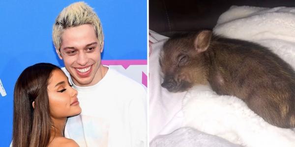 Ariana Grande - Pete Davidson hậu chia tay: Anh lấy lại nhẫn, tôi giữ con heo Ariana Grande - Pete Davidson hậu chia tay: Anh lấy lại nhẫn, tôi giữ con heo