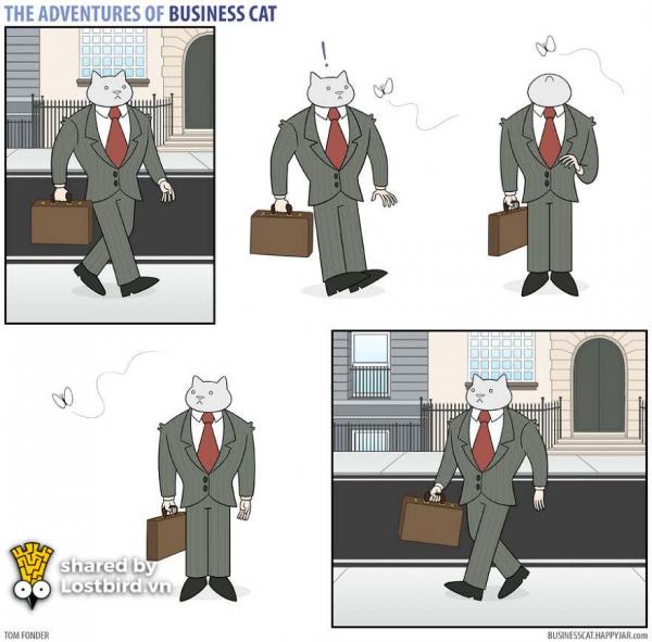 Chuyện gì xảy ra nếu như ông chủ của bạn là... mèo? Chuyện gì xảy ra nếu như ông chủ của bạn là... mèo?