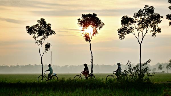 Blogger người Mỹ chia sẻ những trải nghiệm 'đắng' khiến 95% khách du lịch Âu Mỹ không quay lại Việt Nam Blogger người Mỹ chia sẻ những trải nghiệm 'đắng' khiến 95% khách du lịch Âu Mỹ không quay lại Việt Nam