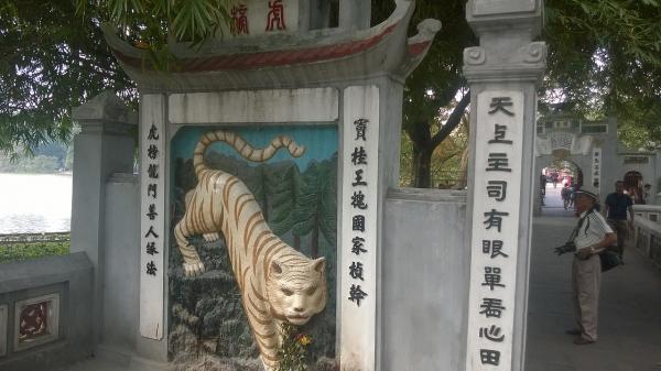 Hình tượng 'Bạch Hổ' trong tâm linh và trong đời thật dưới góc nhìn khoa học Hình tượng 'Bạch Hổ' trong tâm linh và trong đời thật dưới góc nhìn khoa học