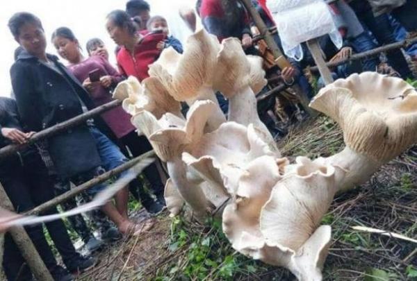 Mở rộng tầm mắt với loạt ảnh những hiện tượng lạ kỳ quanh ta Mở rộng tầm mắt với loạt ảnh những hiện tượng lạ kỳ quanh ta