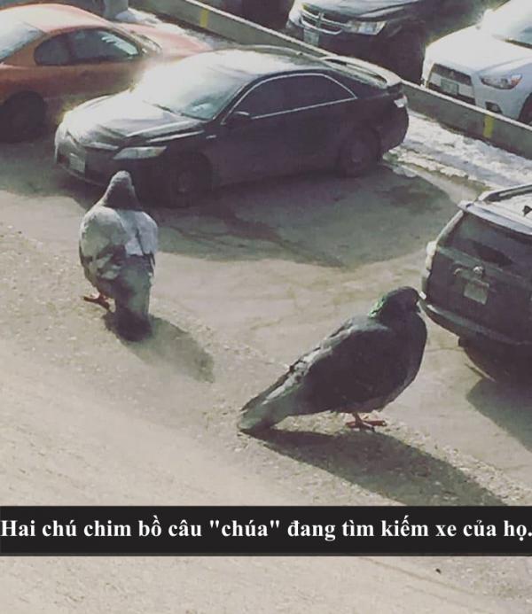 Snapchat biến thành thế giới động vật với loạt lời bình 'cười nghiêng ngả' (Kỳ 4) Snapchat biến thành thế giới động vật với loạt lời bình 'cười nghiêng ngả' (Kỳ 4)