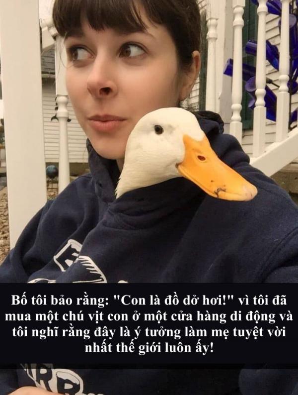 Snapchat biến thành thế giới động vật với loạt lời bình 'cười nghiêng ngả' (Kỳ 4) Snapchat biến thành thế giới động vật với loạt lời bình 'cười nghiêng ngả' (Kỳ 4)