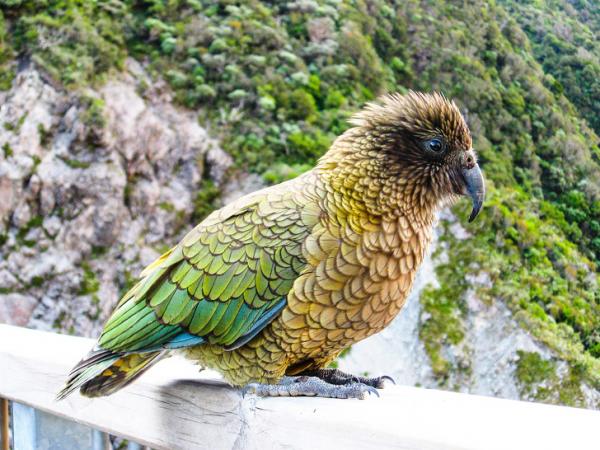 24 sự thật bất ngờ sẽ khiến ta đứng hình và khởi động lại não bộ 24 sự thật bất ngờ sẽ khiến ta đứng hình và khởi động lại não bộ