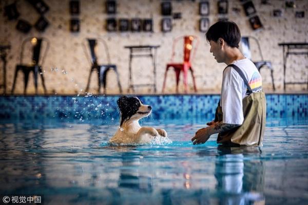 Rich dog là có thật: 'Sen' chi gần 12 tỷ đồng xây biệt thự sang chảnh cho 'boss' Rich dog là có thật: 'Sen' chi gần 12 tỷ đồng xây biệt thự sang chảnh cho 'boss'