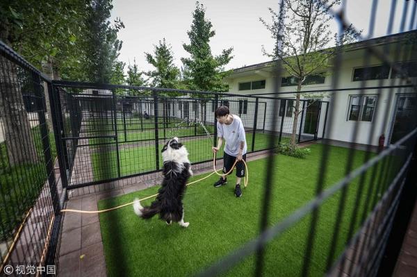 Rich dog là có thật: 'Sen' chi gần 12 tỷ đồng xây biệt thự sang chảnh cho 'boss' Rich dog là có thật: 'Sen' chi gần 12 tỷ đồng xây biệt thự sang chảnh cho 'boss'