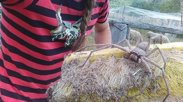 Những lý do khiến chúng ta chỉ nên yêu nước Úc... từ xa mà thôi Những lý do khiến chúng ta chỉ nên yêu nước Úc... từ xa mà thôi