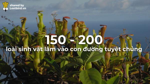 Những điều sẽ diễn ra trên thế giới trong 24 giờ tới, bạn có tò mò không? Những điều sẽ diễn ra trên thế giới trong 24 giờ tới, bạn có tò mò không?