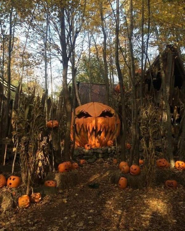 Bơi vào học hỏi cách trang trí Halloween dọa hàng xóm ăn ngủ không yên Bơi vào học hỏi cách trang trí Halloween dọa hàng xóm ăn ngủ không yên