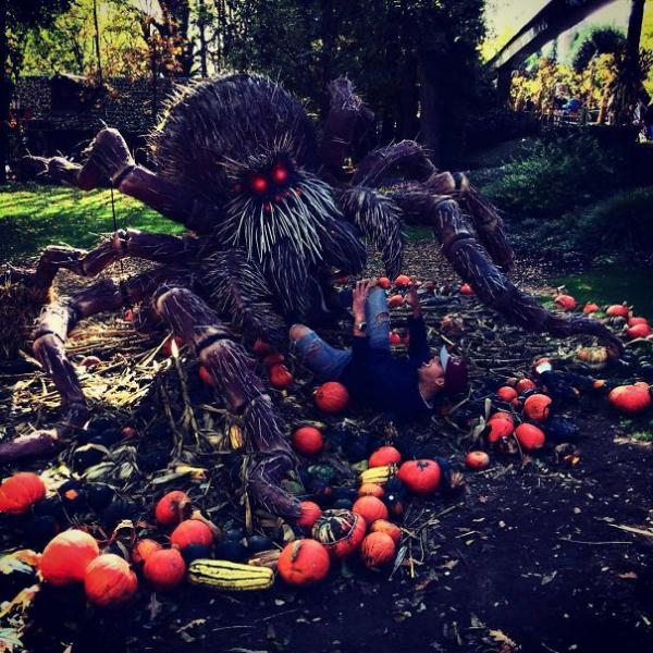 Bơi vào học hỏi cách trang trí Halloween dọa hàng xóm ăn ngủ không yên Bơi vào học hỏi cách trang trí Halloween dọa hàng xóm ăn ngủ không yên