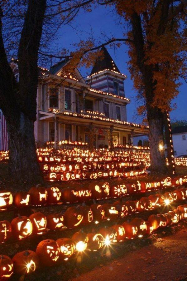 Bơi vào học hỏi cách trang trí Halloween dọa hàng xóm ăn ngủ không yên Bơi vào học hỏi cách trang trí Halloween dọa hàng xóm ăn ngủ không yên