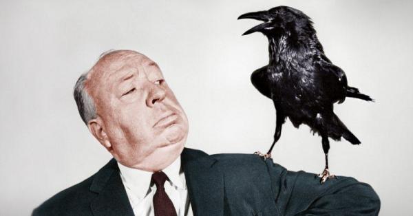 5 sự thật kì lạ về bậc thầy kinh dị Alfred Hitchcock: Chứng ám ảnh đồ ăn, mối thù với Walt Disney và những trò đùa quái dị 5 sự thật kì lạ về bậc thầy kinh dị Alfred Hitchcock: Chứng ám ảnh đồ ăn, mối thù với Walt Disney và những trò đùa quái dị