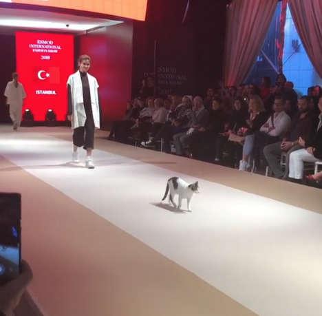 ‘Quàng thượng’ dạy dỗ các người mẫu dáng đi sang chảnh trên sàn catwalk ‘Quàng thượng’ dạy dỗ các người mẫu dáng đi sang chảnh trên sàn catwalk