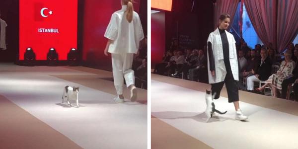 ‘Quàng thượng’ dạy dỗ các người mẫu dáng đi sang chảnh trên sàn catwalk ‘Quàng thượng’ dạy dỗ các người mẫu dáng đi sang chảnh trên sàn catwalk