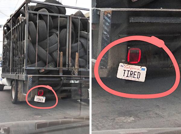 Phóng to 22 bức ảnh vui nhộn này để khởi đầu một tuần mới đầy sảng khoái Phóng to 22 bức ảnh vui nhộn này để khởi đầu một tuần mới đầy sảng khoái