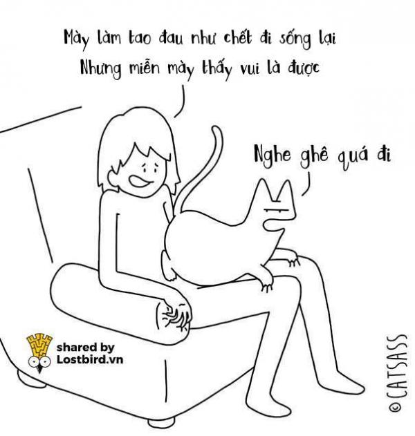Thà đừng biết suy nghĩ của lũ mèo, trái tim mong manh của chúng ta sẽ bớt đau hơn Thà đừng biết suy nghĩ của lũ mèo, trái tim mong manh của chúng ta sẽ bớt đau hơn