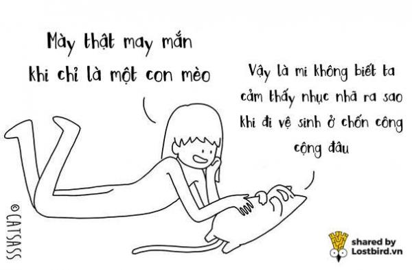 Thà đừng biết suy nghĩ của lũ mèo, trái tim mong manh của chúng ta sẽ bớt đau hơn Thà đừng biết suy nghĩ của lũ mèo, trái tim mong manh của chúng ta sẽ bớt đau hơn