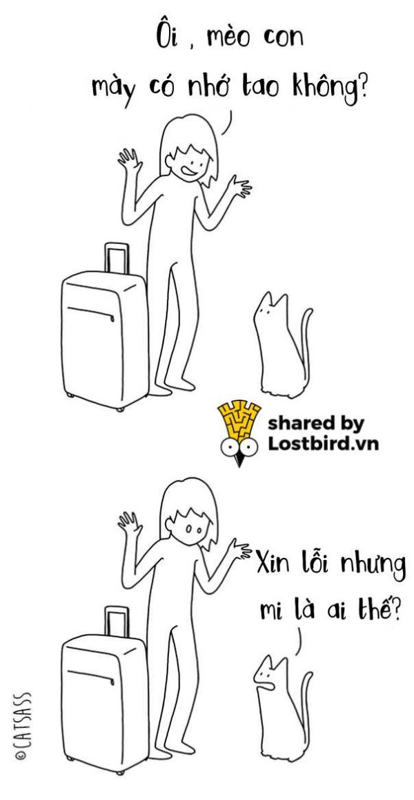Thà đừng biết suy nghĩ của lũ mèo, trái tim mong manh của chúng ta sẽ bớt đau hơn Thà đừng biết suy nghĩ của lũ mèo, trái tim mong manh của chúng ta sẽ bớt đau hơn