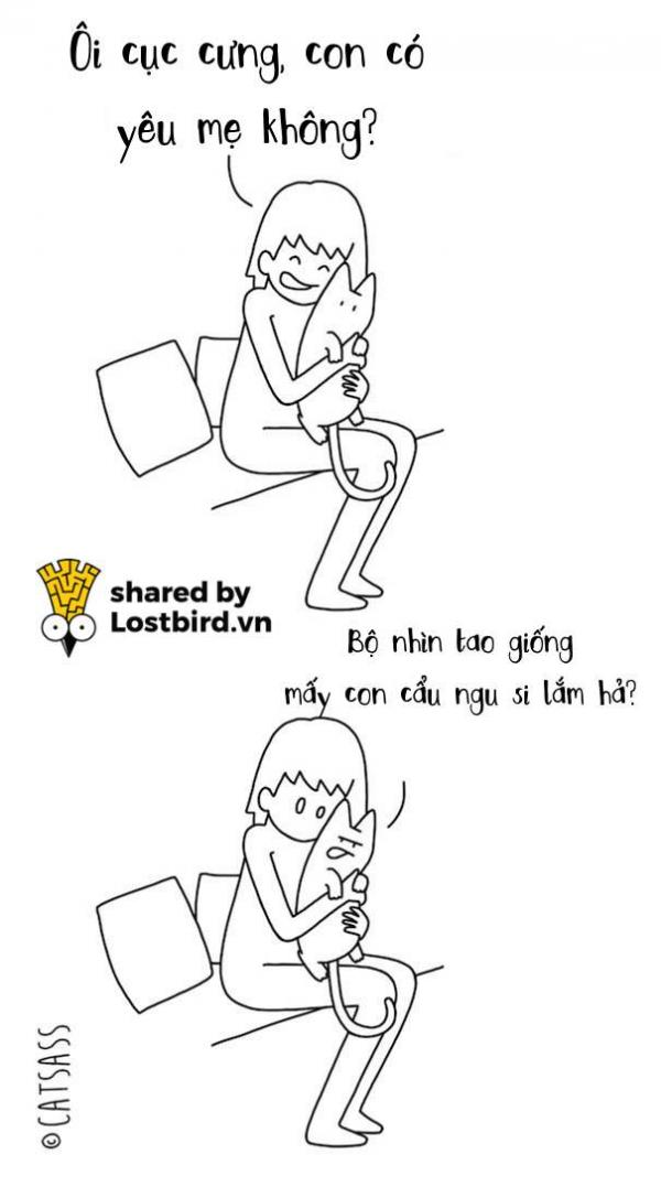 Thà đừng biết suy nghĩ của lũ mèo, trái tim mong manh của chúng ta sẽ bớt đau hơn Thà đừng biết suy nghĩ của lũ mèo, trái tim mong manh của chúng ta sẽ bớt đau hơn