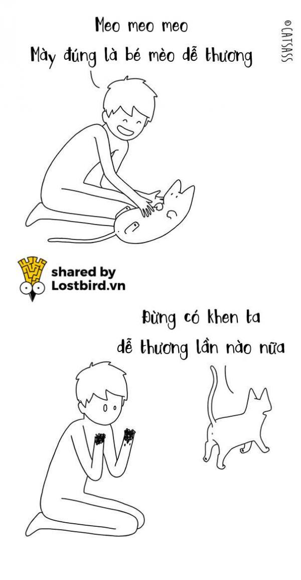 Thà đừng biết suy nghĩ của lũ mèo, trái tim mong manh của chúng ta sẽ bớt đau hơn Thà đừng biết suy nghĩ của lũ mèo, trái tim mong manh của chúng ta sẽ bớt đau hơn