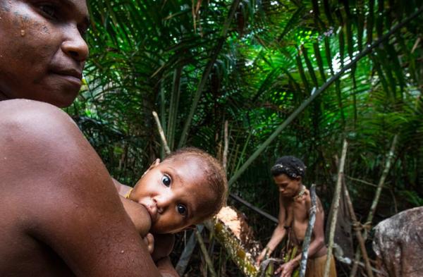 Bộ tộc ăn thịt người và sống trên cây ở Indonesia lần đầu tiên 'mở lòng' với thế giới Bộ tộc ăn thịt người và sống trên cây ở Indonesia lần đầu tiên 'mở lòng' với thế giới