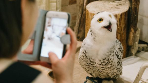 Instagram đã khiến phụ nữ trẻ thiếu tự tin về chính bản thân họ như thế nào? Instagram đã khiến phụ nữ trẻ thiếu tự tin về chính bản thân họ như thế nào?