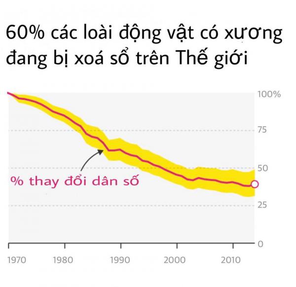 Sự tàn phá khủng khiếp của loài người đã khiến hơn 60% động vật hoang dã đứng trên bờ vực tuyệt chủng Sự tàn phá khủng khiếp của loài người đã khiến hơn 60% động vật hoang dã đứng trên bờ vực tuyệt chủng