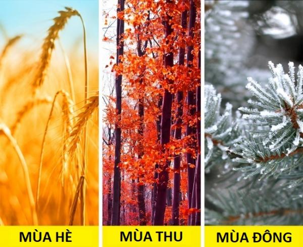 Muốn ‘nhập gia tùy tục’ ở Ấn Độ, bạn nên biết trước 19 điều kỳ lạ này Muốn ‘nhập gia tùy tục’ ở Ấn Độ, bạn nên biết trước 19 điều kỳ lạ này