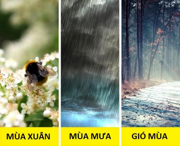Muốn ‘nhập gia tùy tục’ ở Ấn Độ, bạn nên biết trước 19 điều kỳ lạ này Muốn ‘nhập gia tùy tục’ ở Ấn Độ, bạn nên biết trước 19 điều kỳ lạ này