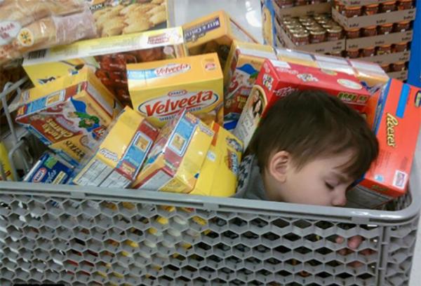 So sánh cách con người và động vật chăm con: Sao lại hài hước và trớ trêu thế này! So sánh cách con người và động vật chăm con: Sao lại hài hước và trớ trêu thế này!