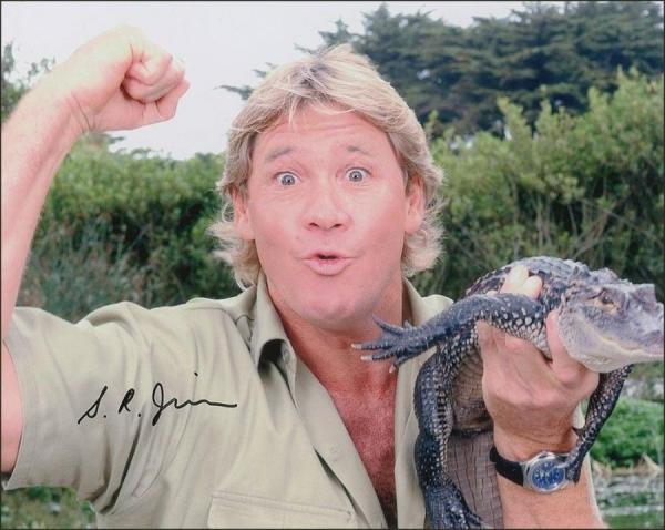 'Crikey Show' kế thừa di sản của nhà sinh vật học Steve Irwin 'Crikey Show' kế thừa di sản của nhà sinh vật học Steve Irwin