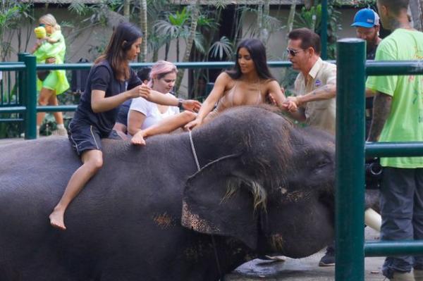 Kim Kardashian bị chỉ trích dữ dội khi post ảnh cưỡi voi ở Bali Kim Kardashian bị chỉ trích dữ dội khi post ảnh cưỡi voi ở Bali