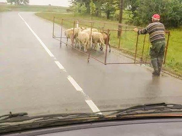 Những cách ngớ ngẩn mà đàn ông dùng để 'giải cứu' thế giới Những cách ngớ ngẩn mà đàn ông dùng để 'giải cứu' thế giới