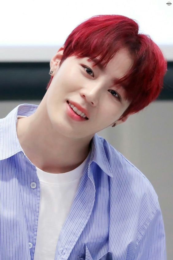 Wanna One sau khi tan rã: Người nhận trăm ngàn lời săn đón, kẻ chỉ có duy nhất một con đường để đi Wanna One sau khi tan rã: Người nhận trăm ngàn lời săn đón, kẻ chỉ có duy nhất một con đường để đi